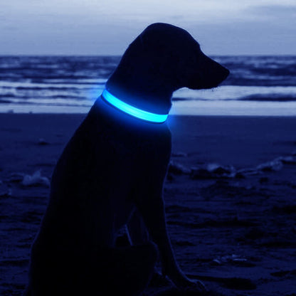 USB Rechargeable LED Pet Dog Collar Flashing Luminous Safety Light up Nylon UK